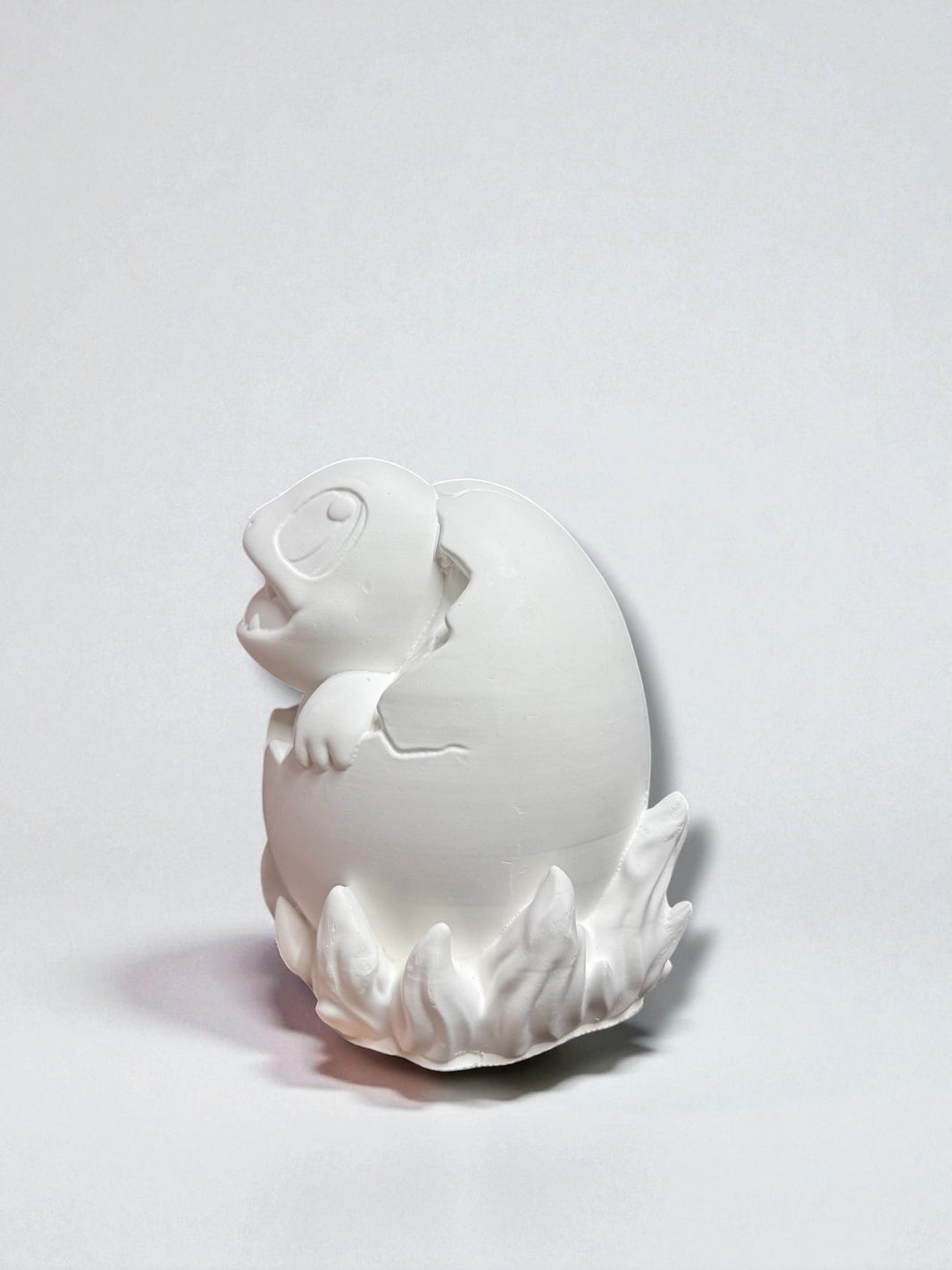 Squirtle Egg Paint Kit